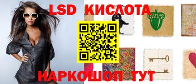 стаф Пенза