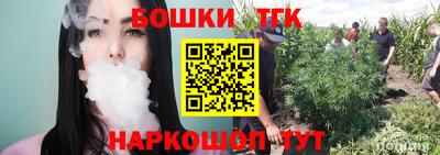 стаф Пенза