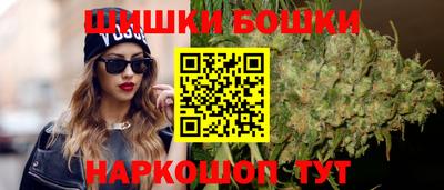 стаф Пенза