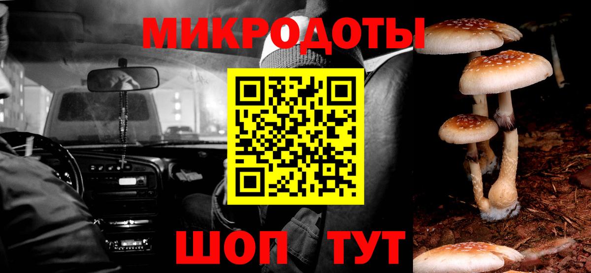 где купить наркоту  Псилоцибиновые грибы прущие грибы  Сунжа  Вход с VPN  Псилоцибиновые грибы Psilocybine cubensis 