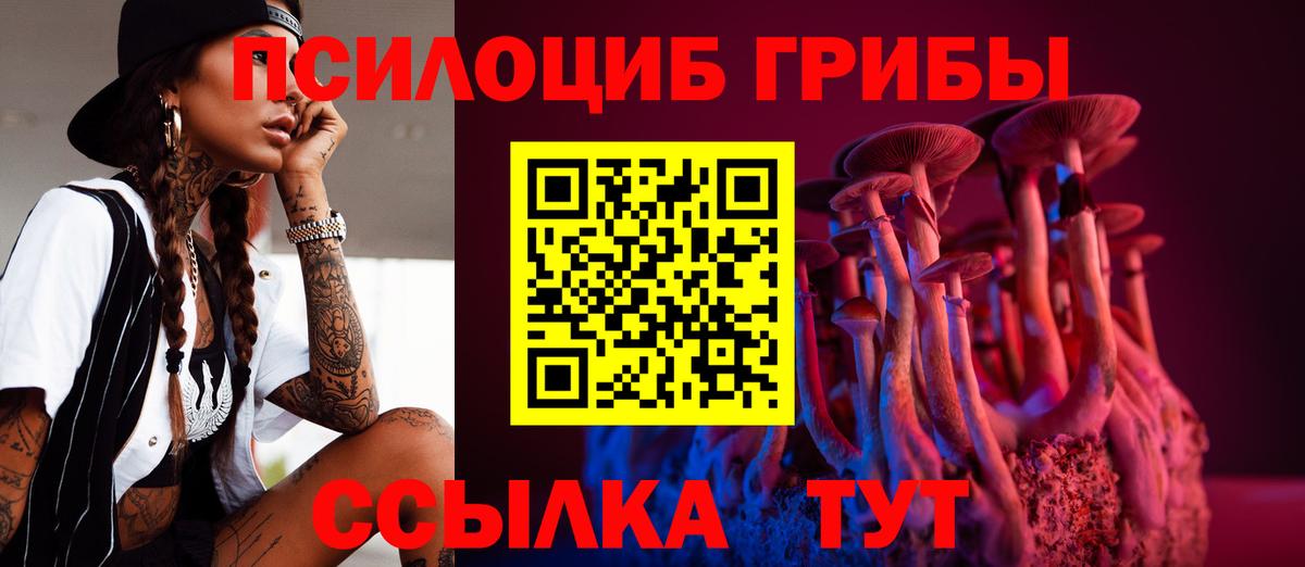 Псилоцибиновые грибы Psilocybe Сунжа